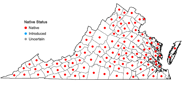 Locations ofDichanthelium clandestinum (L.) Gould in Virginia