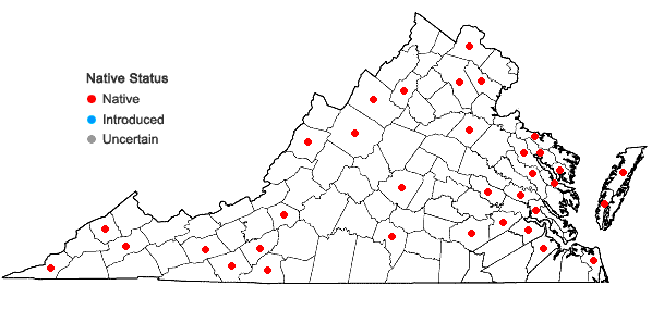 Locations ofDichanthelium columbianum (Scribn.) Freckmann in Virginia