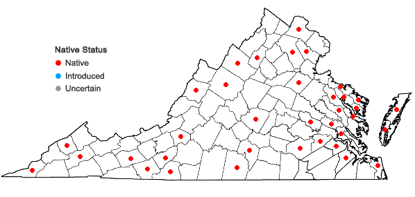 Locations ofDichanthelium columbianum (Scribn.) Freckmann in Virginia