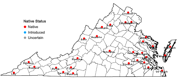 Locations ofDichanthelium columbianum (Scribn.) Freckmann in Virginia