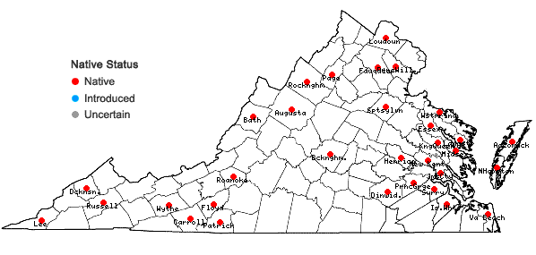 Locations ofDichanthelium columbianum (Scribn.) Freckmann in Virginia