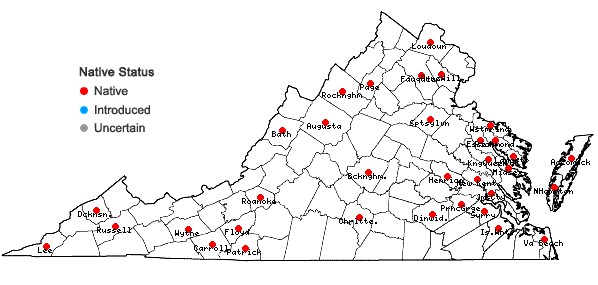 Locations ofDichanthelium columbianum (Scribn.) Freckmann in Virginia