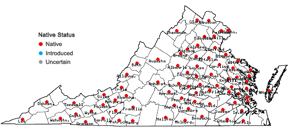 Locations ofDichanthelium commutatum (J.A. Schultes) Gould var. ashei (Pearson ex Ashe) Mohlenbrock in Virginia