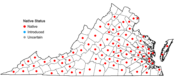 Locations ofDichanthelium commutatum (J.A. Schultes) Gould var. commutatum in Virginia