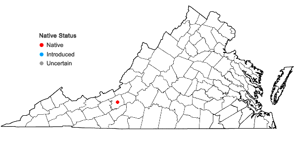 Locations ofDichanthelium curtifolium (Nash) LeBlond in Virginia