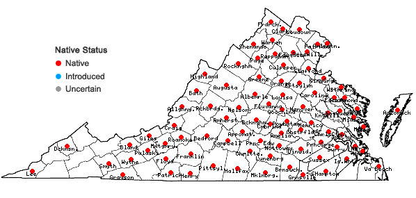 Locations ofDichanthelium depauperatum (Muhl.) Gould in Virginia