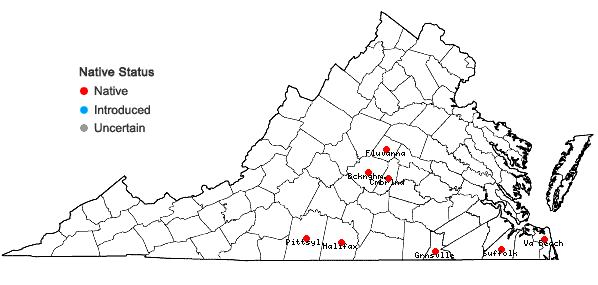 Locations ofDichanthelium dichotomum (L.) Gould var. nitidum (Lam.) LeBlond in Virginia