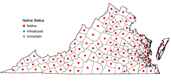 Locations ofDichanthelium dichotomum complex in Virginia
