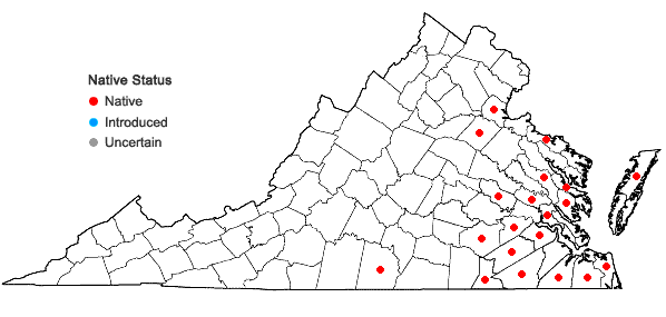 Locations ofDichanthelium ensifolium (Baldwin ex Elliott) Gould in Virginia