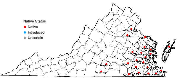 Locations ofDichanthelium ensifolium (Baldwin ex Elliott) Gould in Virginia