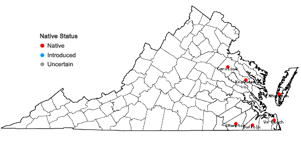 Locations ofDichanthelium filiramum (Ashe) LeBlond in Virginia