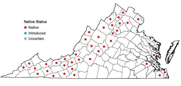 Locations ofDichanthelium latifolium (L.) Harvill in Virginia