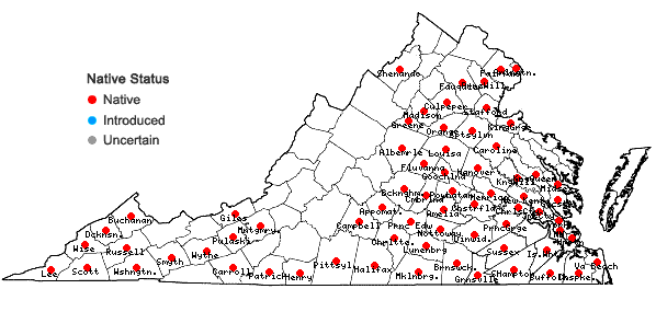 Locations ofDichanthelium laxiflorum (Lam.) Gould in Virginia