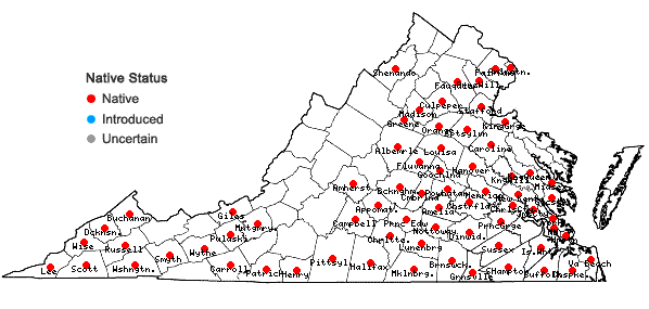 Locations ofDichanthelium laxiflorum (Lam.) Gould in Virginia
