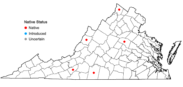 Locations ofDichanthelium leucothrix (Nash) Freckmann in Virginia