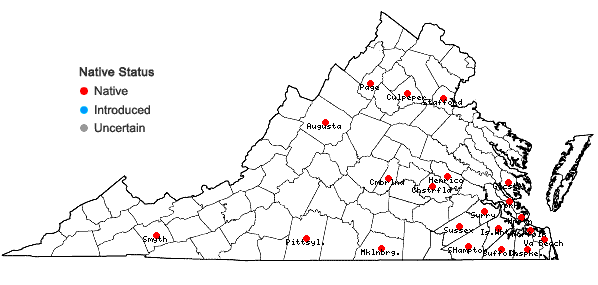 Locations ofDichanthelium longiligulatum (Nash) Freckmann in Virginia