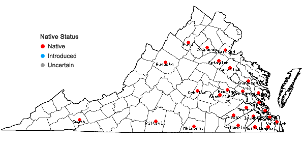 Locations ofDichanthelium longiligulatum (Nash) Freckmann in Virginia