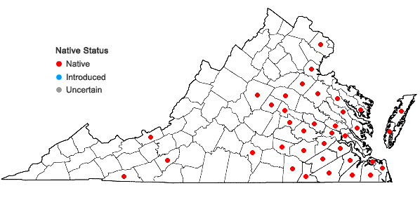 Locations ofDichanthelium lucidum (Ashe) LeBlond in Virginia