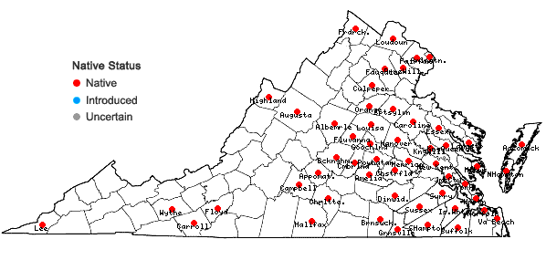 Locations ofDichanthelium meridionale (Ashe) Freckmann in Virginia