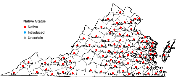 Locations ofDichanthelium microcarpon (Muhl. ex Elliott) Mohlenbrock in Virginia