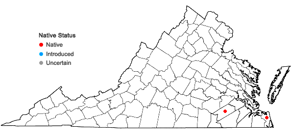 Locations ofDichanthelium mundum (Fern.) LeBlond in Virginia