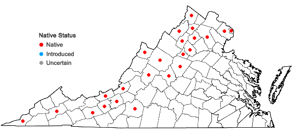 Locations ofDichanthelium oligosanthes (J.A. Schultes) Gould var. scribnerianum (Nash) Gould in Virginia