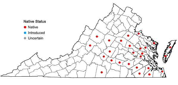 Locations ofDichanthelium ovale (Ell.) Gould & C.A. Clark var. addisonii (Nash) Gould & C.A. Clark in Virginia