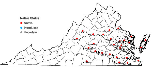 Locations ofDichanthelium ovale (Ell.) Gould & C.A. Clark var. addisonii (Nash) Gould & C.A. Clark in Virginia