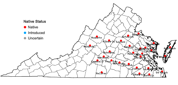 Locations ofDichanthelium ovale (Ell.) Gould & C.A. Clark var. addisonii (Nash) Gould & C.A. Clark in Virginia