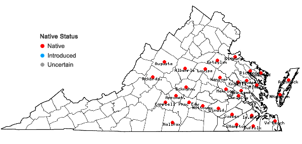 Locations ofDichanthelium ovale (Ell.) Gould & C.A. Clark var. addisonii (Nash) Gould & C.A. Clark in Virginia