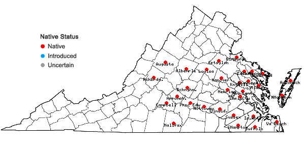 Locations ofDichanthelium ovale (Ell.) Gould & C.A. Clark var. addisonii (Nash) Gould & C.A. Clark in Virginia