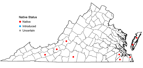 Locations ofDichanthelium ovale (Ell.) Gould & C.A. Clark var. ovale in Virginia
