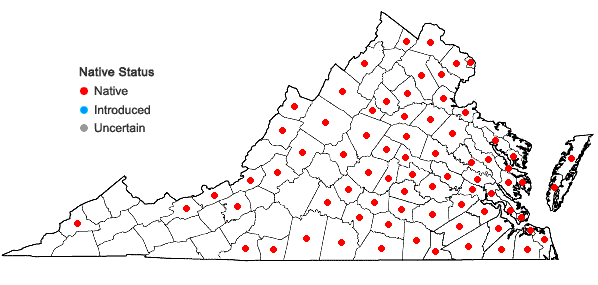 Locations ofDichanthelium polyanthes (Schultes) Mohlenbrock in Virginia