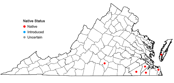 Locations ofDichanthelium portoricense (Desv. ex Ham.) B.F. Hansen & Wunderlin ssp. patulum (Scribn. & Murr.) Freckmann & Lelong in Virginia