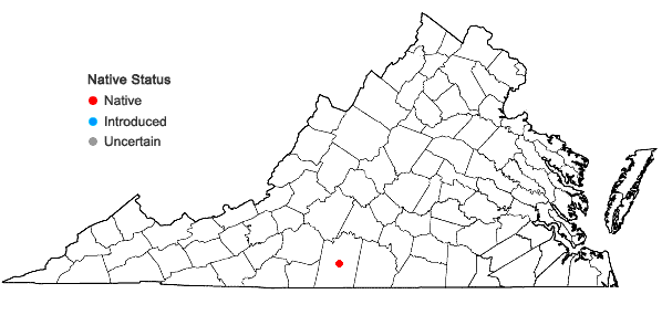 Locations ofDichanthelium portoricense (Desv. ex Ham.) B.F. Hansen & Wunderlin ssp. portoricense in Virginia