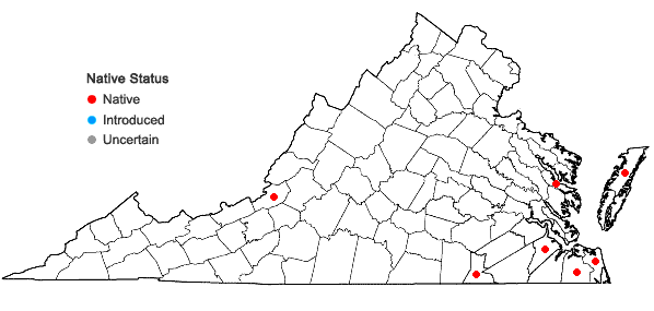Locations ofDichanthelium roanokense (Ashe) LeBlond in Virginia