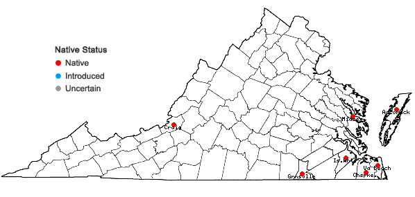 Locations ofDichanthelium roanokense (Ashe) LeBlond in Virginia