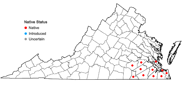 Locations ofDichanthelium scabriusculum (Ell.) Gould & C.A. Clark in Virginia