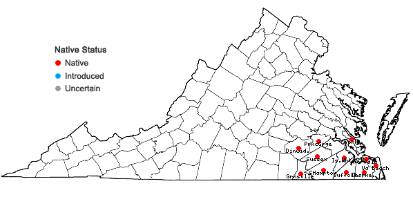 Locations ofDichanthelium scabriusculum (Ell.) Gould & C.A. Clark in Virginia