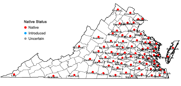 Locations ofDichanthelium scoparium (Lam.) Gould in Virginia