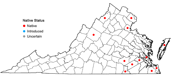 Locations ofDichanthelium spretum (J.A. Schultes) Freckmann in Virginia