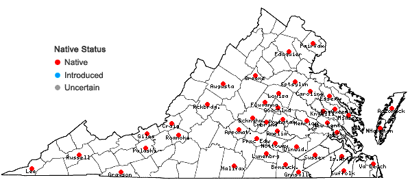 Locations ofDichanthelium villosissimum (Nash) Freckmann var. villosissimum in Virginia