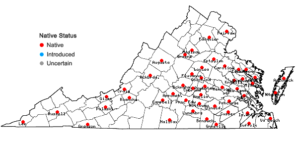 Locations ofDichanthelium villosissimum (Nash) Freckmann var. villosissimum in Virginia