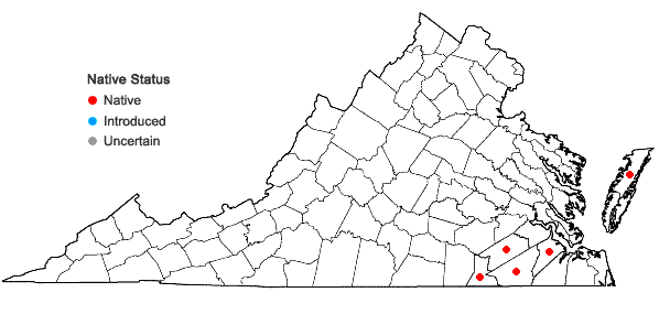 Locations ofDichanthelium wrightianum (Scribn.) Freckmann in Virginia