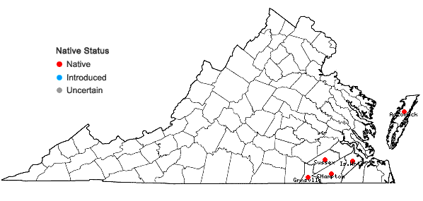 Locations ofDichanthelium wrightianum (Scribn.) Freckmann in Virginia