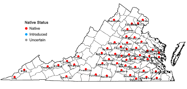 Locations ofDichanthelium yadkinense (Ashe) Mohlenbrock in Virginia