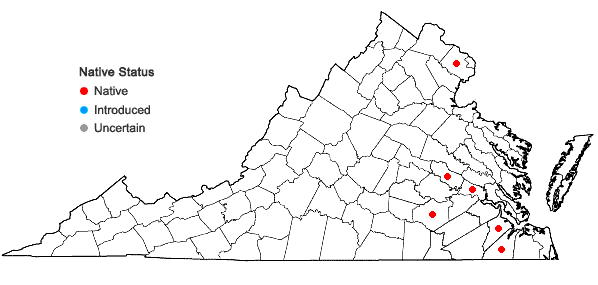 Locations ofDichelyma capillaceum (With.) Myrin in Virginia