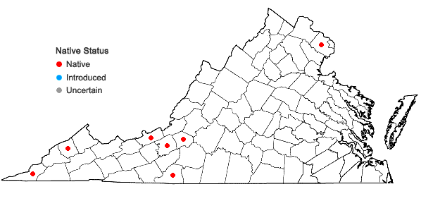 Locations ofDichodontium pellucidum (Hedw.) Schimp. in Virginia