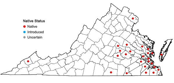 Locations ofDichondra carolinensis Michx. in Virginia