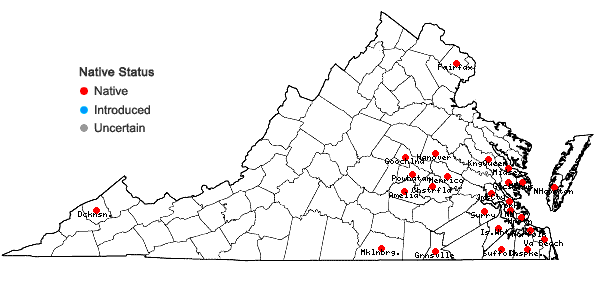 Locations ofDichondra carolinensis Michx. in Virginia